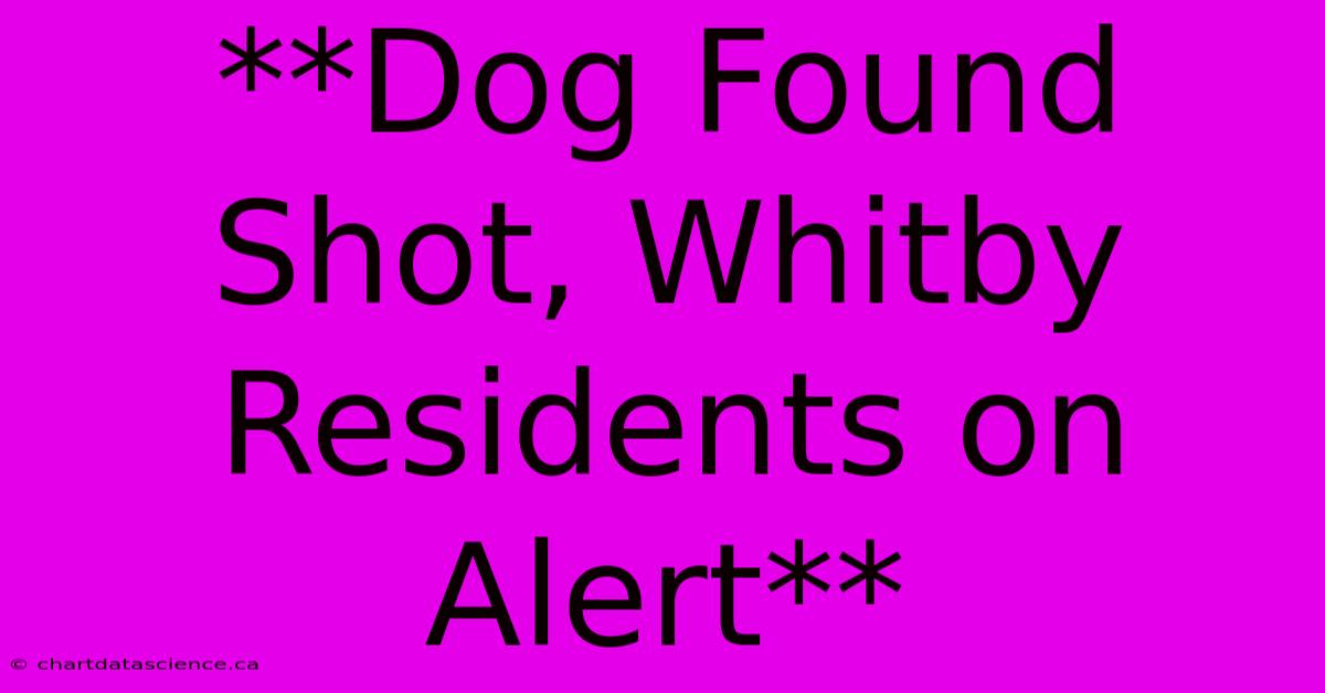 **Dog Found Shot, Whitby Residents On Alert**