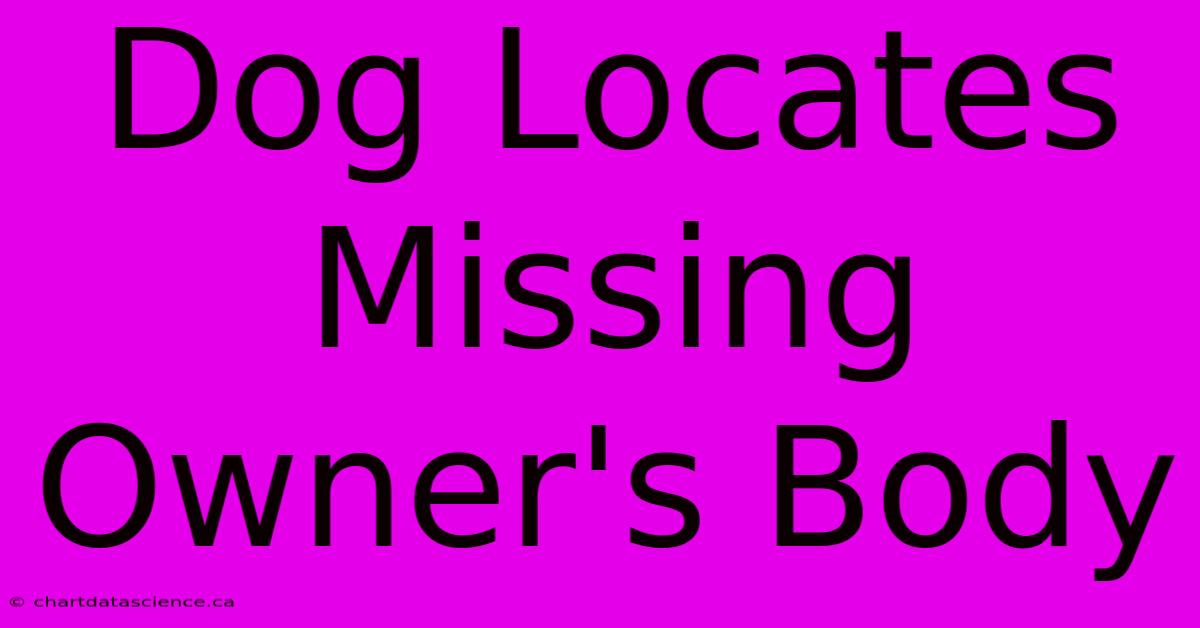 Dog Locates Missing Owner's Body