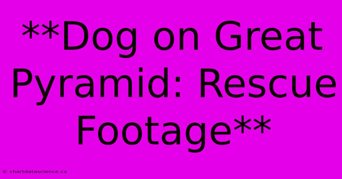 **Dog On Great Pyramid: Rescue Footage**