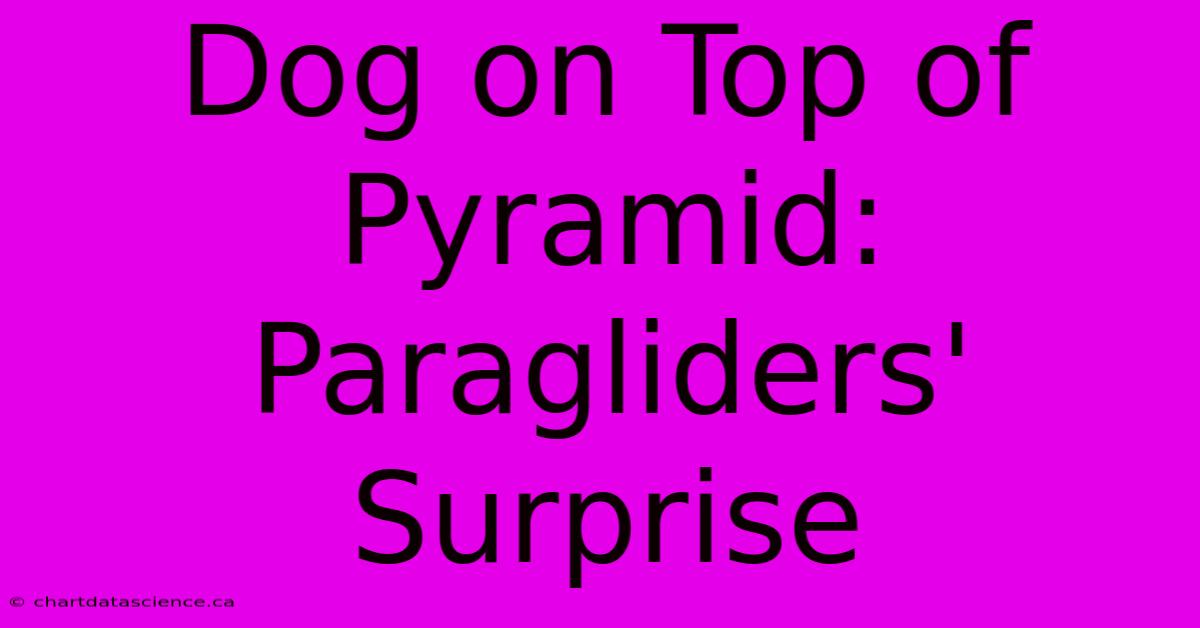 Dog On Top Of Pyramid: Paragliders' Surprise 