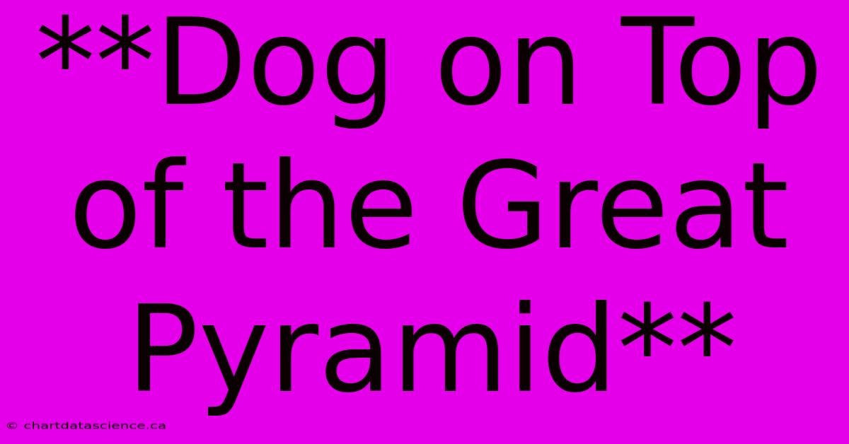 **Dog On Top Of The Great Pyramid** 