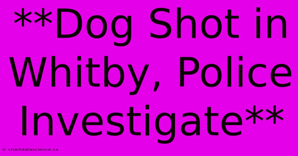 **Dog Shot In Whitby, Police Investigate** 