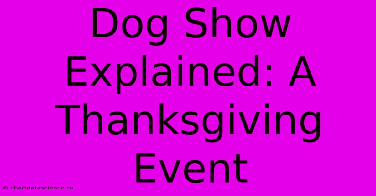 Dog Show Explained: A Thanksgiving Event