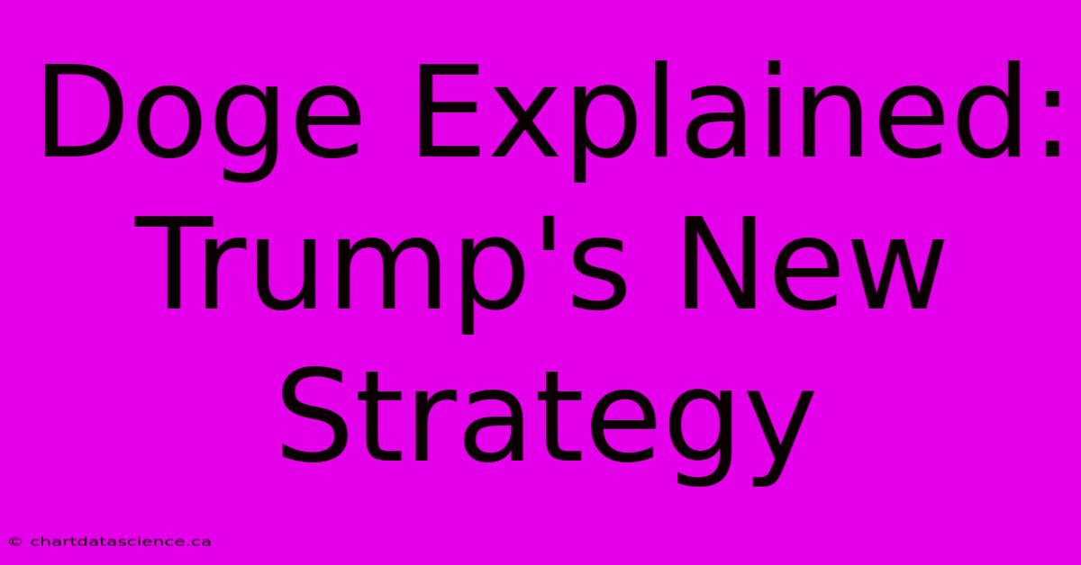 Doge Explained: Trump's New Strategy