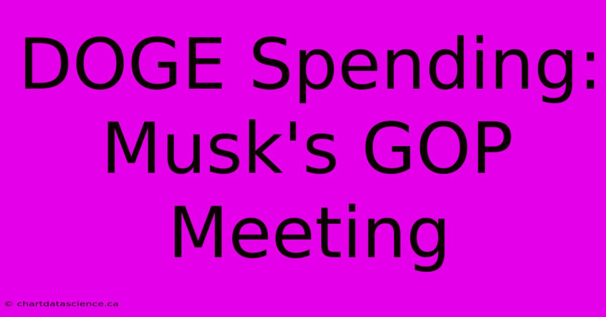 DOGE Spending: Musk's GOP Meeting