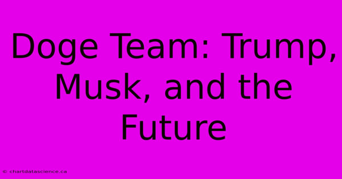 Doge Team: Trump, Musk, And The Future