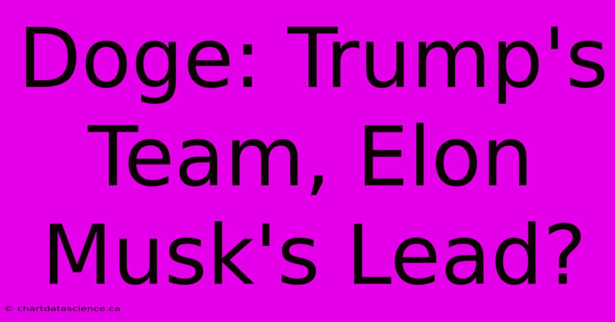 Doge: Trump's Team, Elon Musk's Lead?