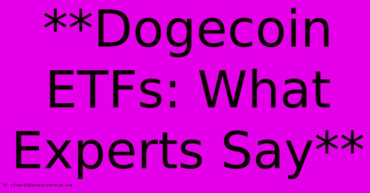 **Dogecoin ETFs: What Experts Say**