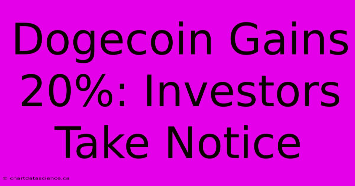 Dogecoin Gains 20%: Investors Take Notice 