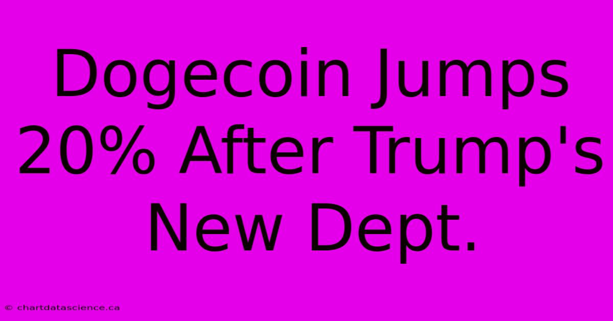 Dogecoin Jumps 20% After Trump's New Dept.