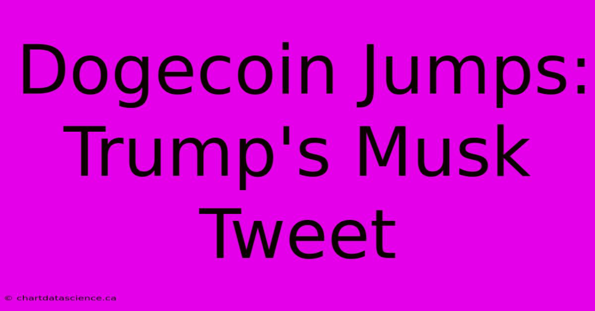 Dogecoin Jumps: Trump's Musk Tweet