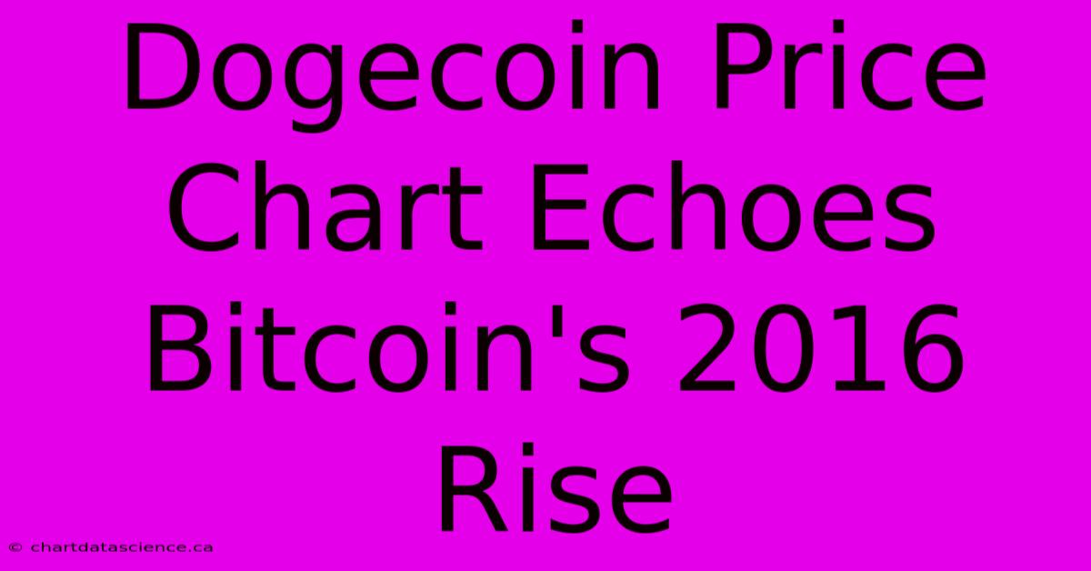 Dogecoin Price Chart Echoes Bitcoin's 2016 Rise