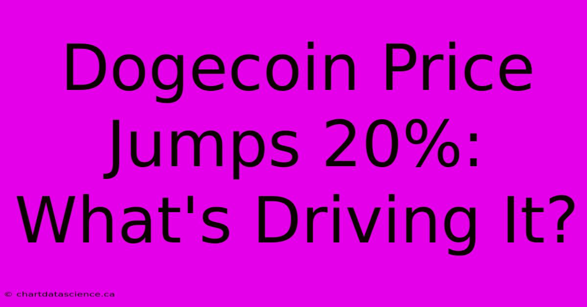 Dogecoin Price Jumps 20%: What's Driving It?