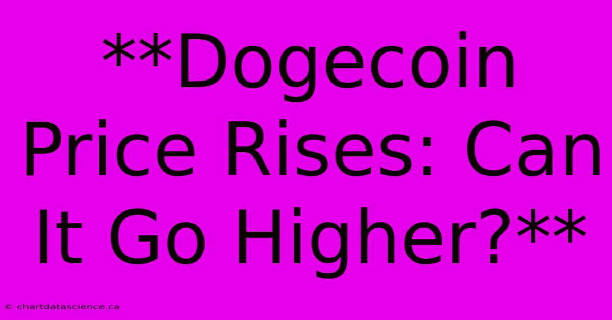 **Dogecoin Price Rises: Can It Go Higher?**