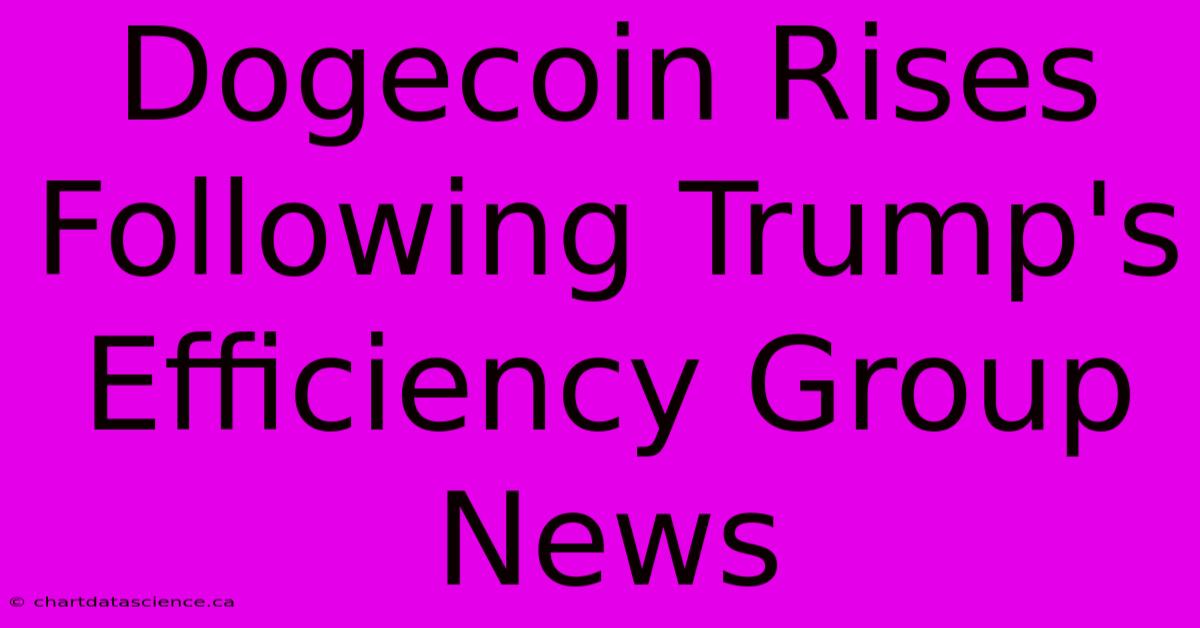 Dogecoin Rises Following Trump's Efficiency Group News 