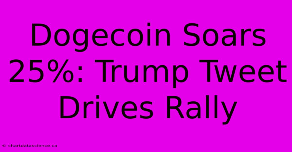 Dogecoin Soars 25%: Trump Tweet Drives Rally