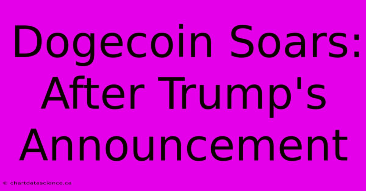 Dogecoin Soars: After Trump's Announcement