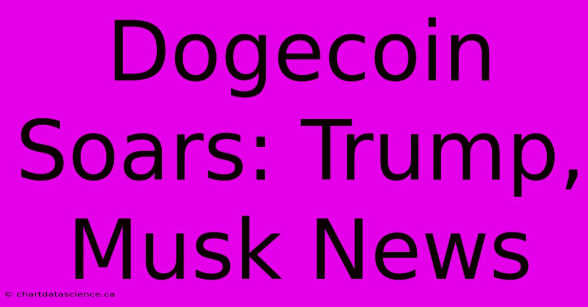 Dogecoin Soars: Trump, Musk News