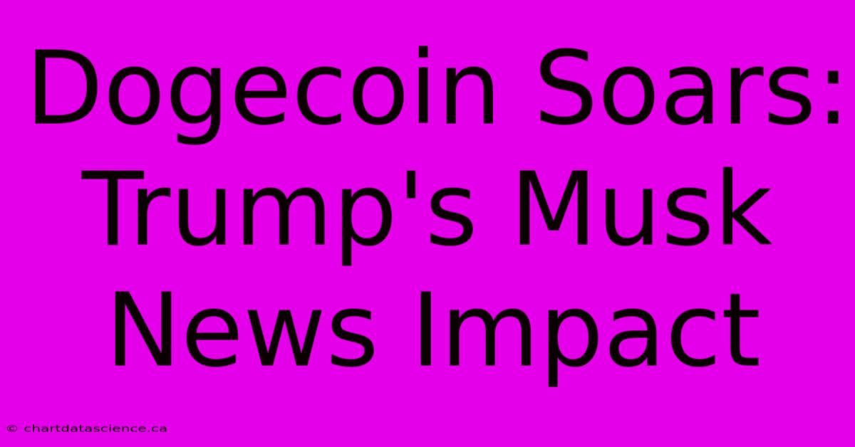 Dogecoin Soars: Trump's Musk News Impact