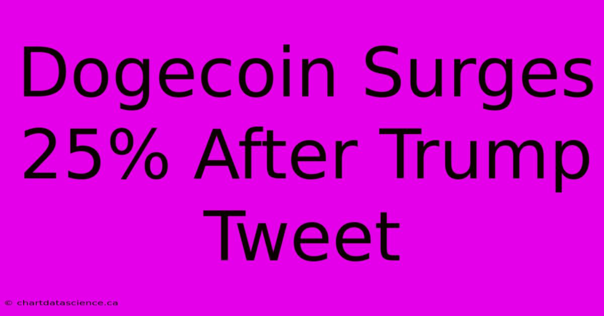 Dogecoin Surges 25% After Trump Tweet