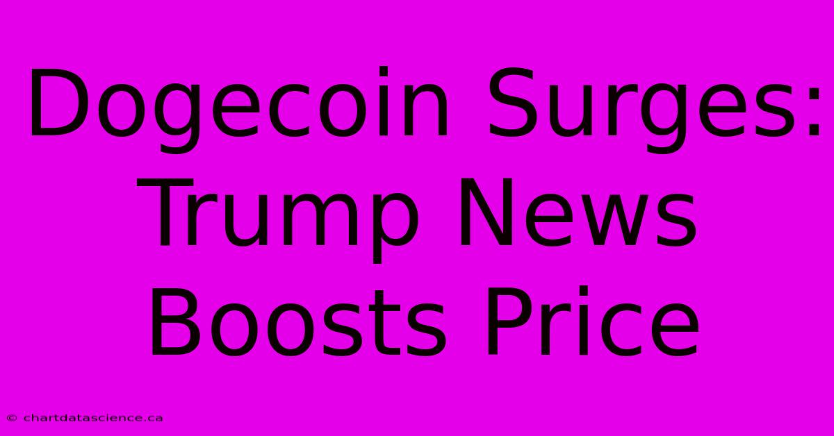 Dogecoin Surges: Trump News Boosts Price