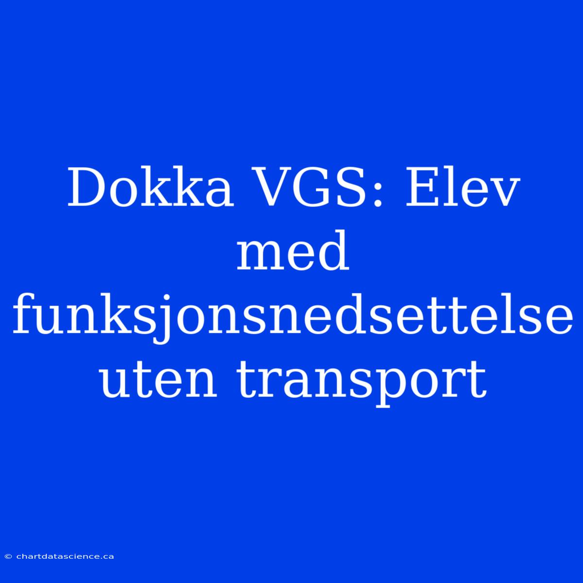 Dokka VGS: Elev Med Funksjonsnedsettelse Uten Transport