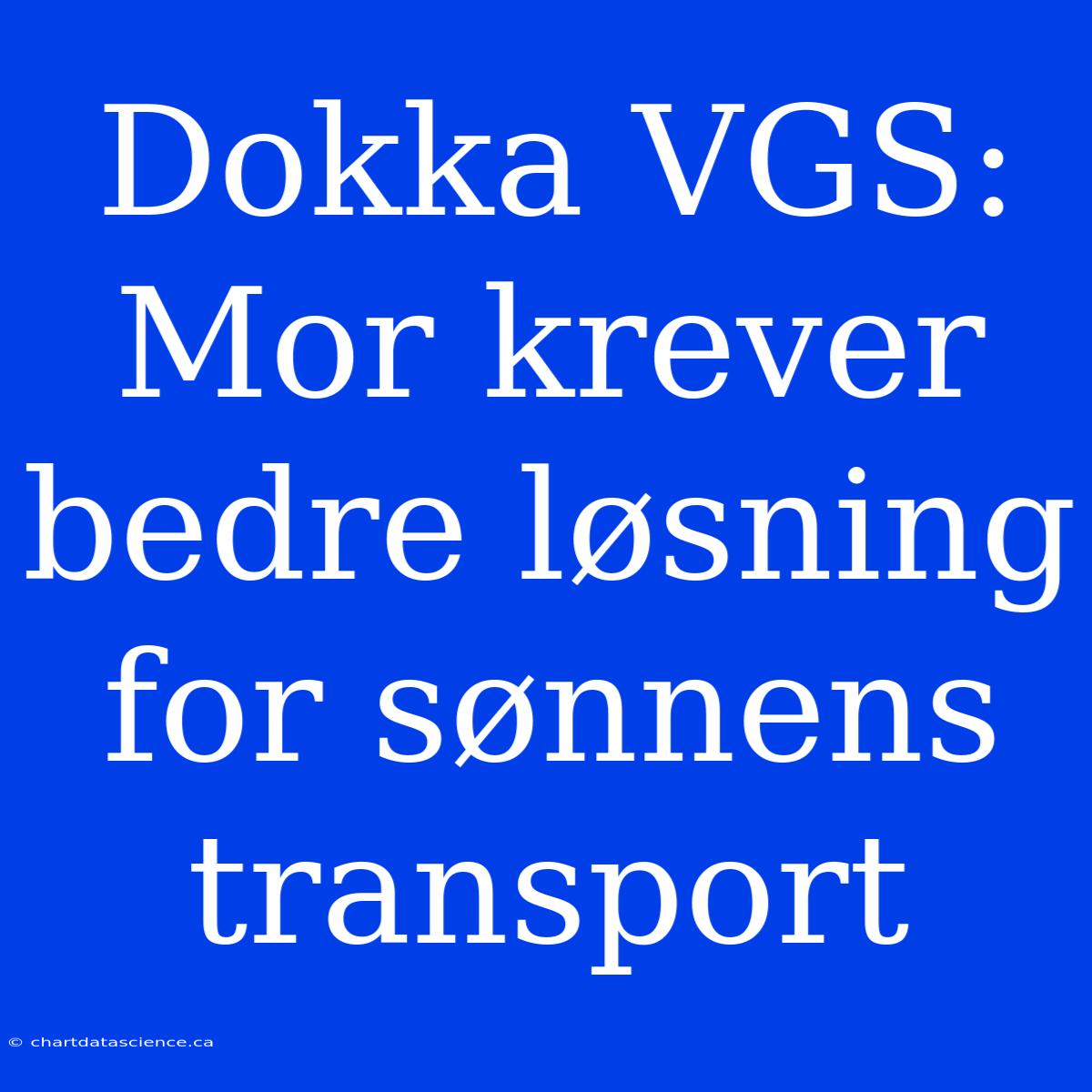 Dokka VGS: Mor Krever Bedre Løsning For Sønnens Transport