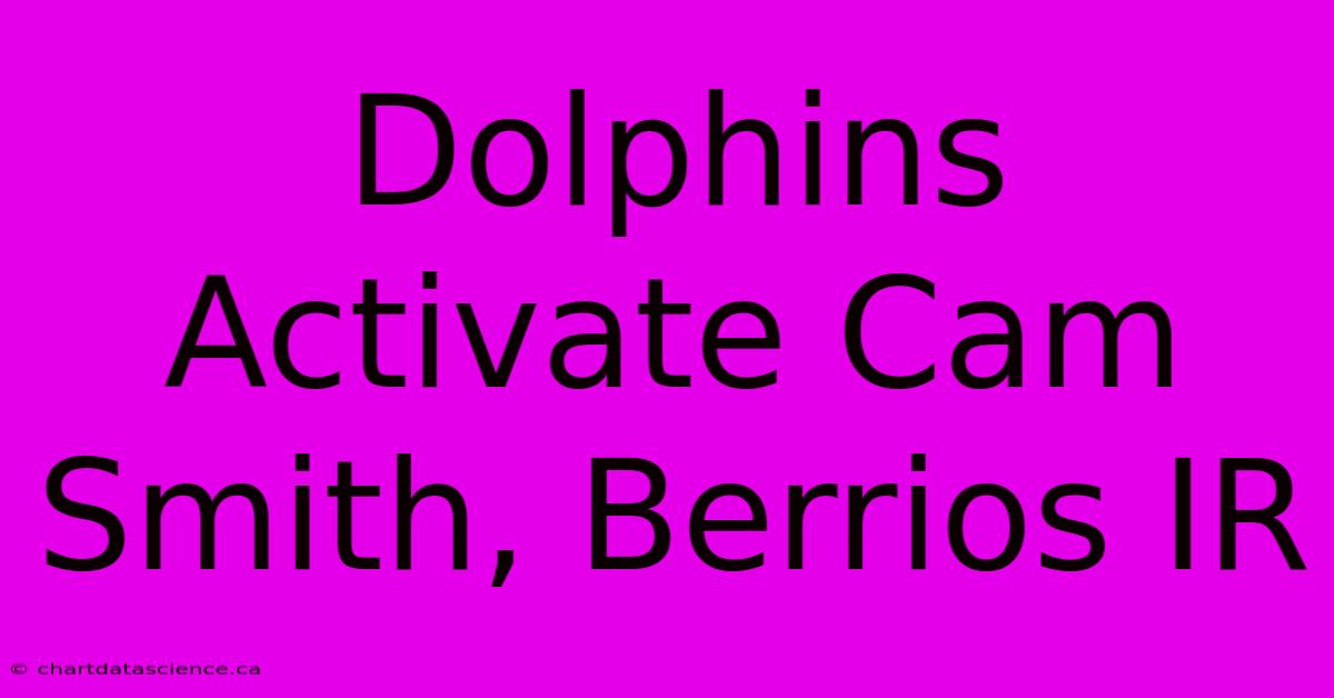 Dolphins Activate Cam Smith, Berrios IR