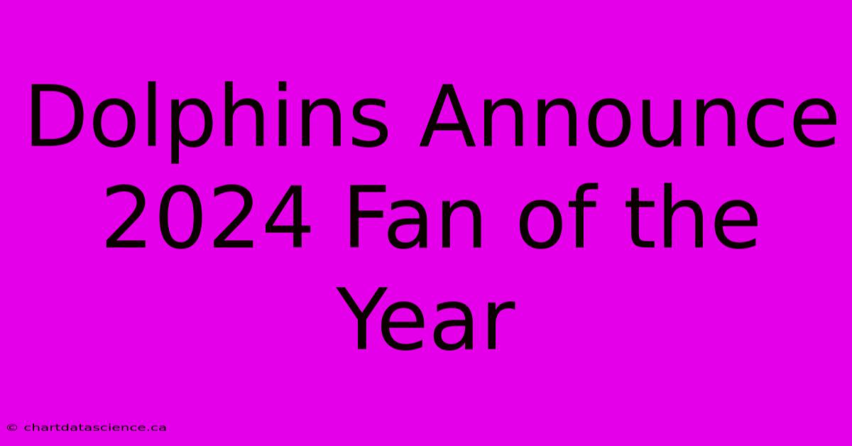 Dolphins Announce 2024 Fan Of The Year