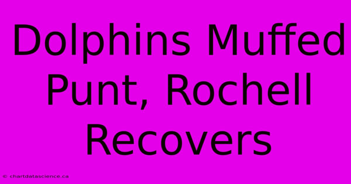 Dolphins Muffed Punt, Rochell Recovers