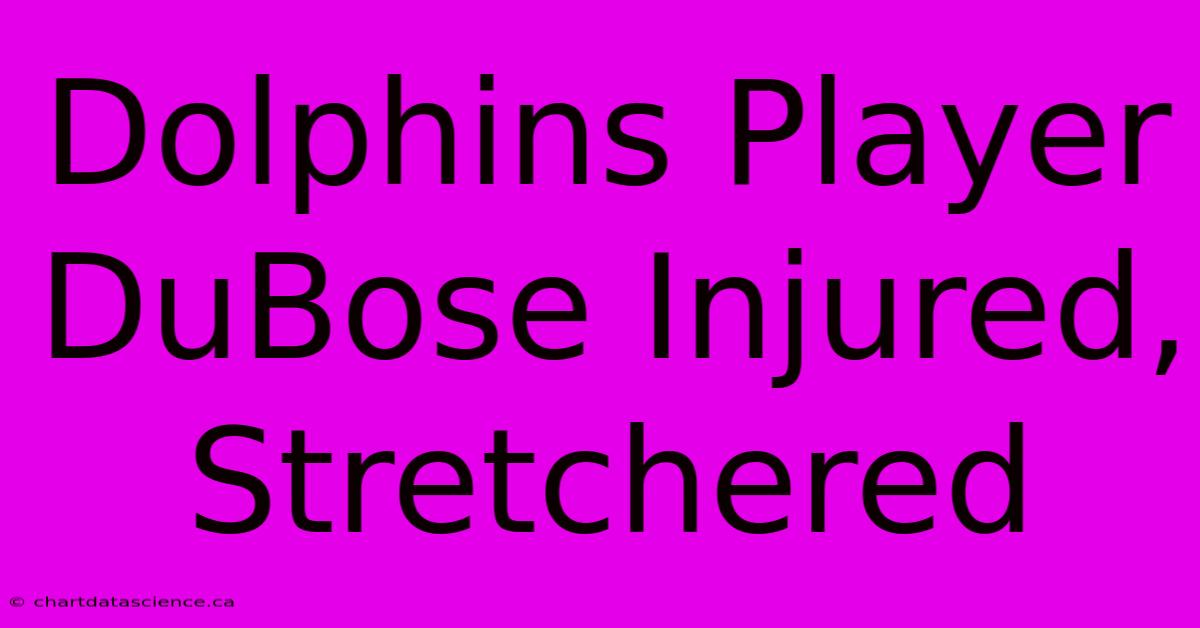 Dolphins Player DuBose Injured, Stretchered