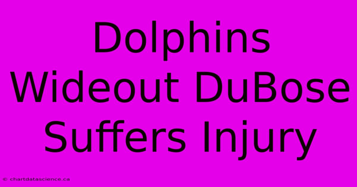 Dolphins Wideout DuBose Suffers Injury