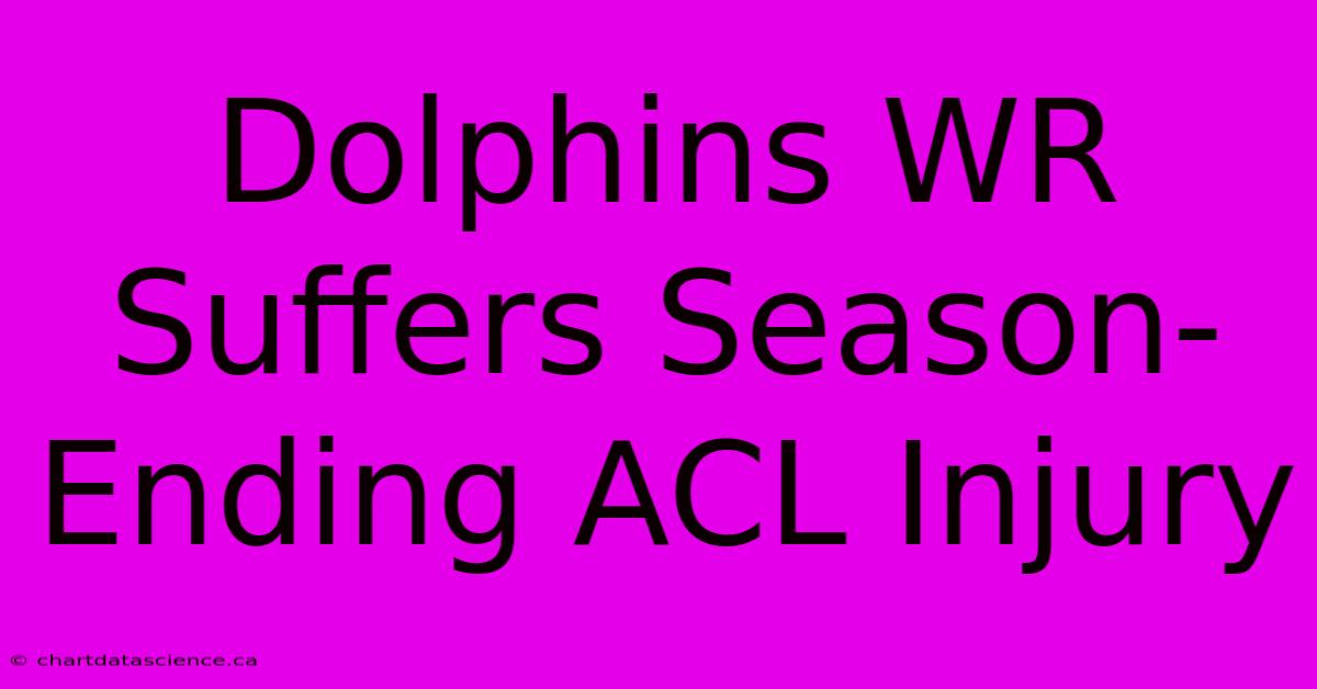 Dolphins WR Suffers Season-Ending ACL Injury