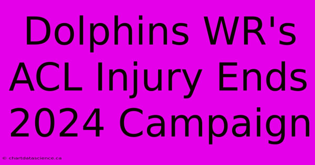 Dolphins WR's ACL Injury Ends 2024 Campaign