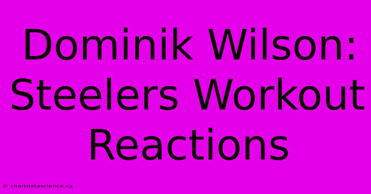 Dominik Wilson: Steelers Workout Reactions 