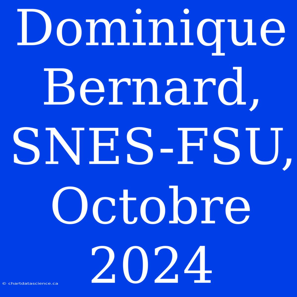 Dominique Bernard, SNES-FSU, Octobre 2024