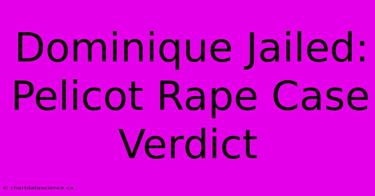 Dominique Jailed: Pelicot Rape Case Verdict