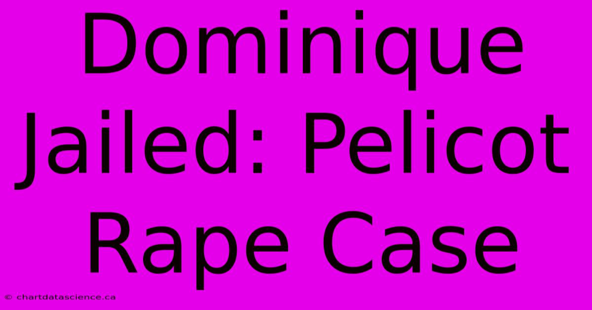 Dominique Jailed: Pelicot Rape Case