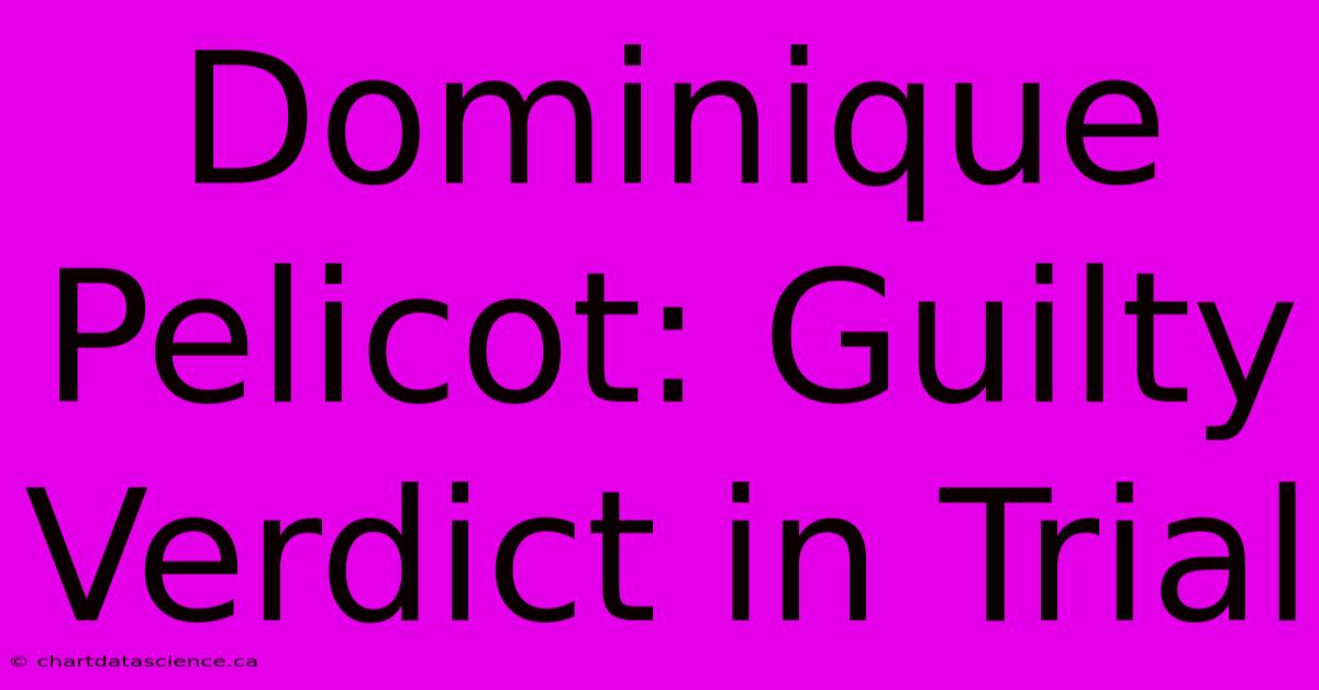 Dominique Pelicot: Guilty Verdict In Trial