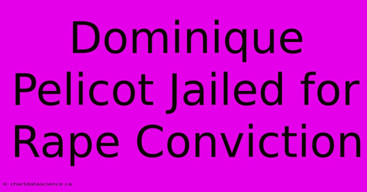 Dominique Pelicot Jailed For Rape Conviction