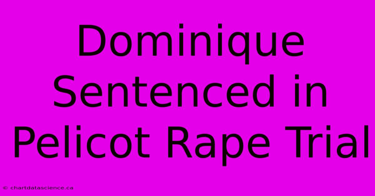 Dominique Sentenced In Pelicot Rape Trial