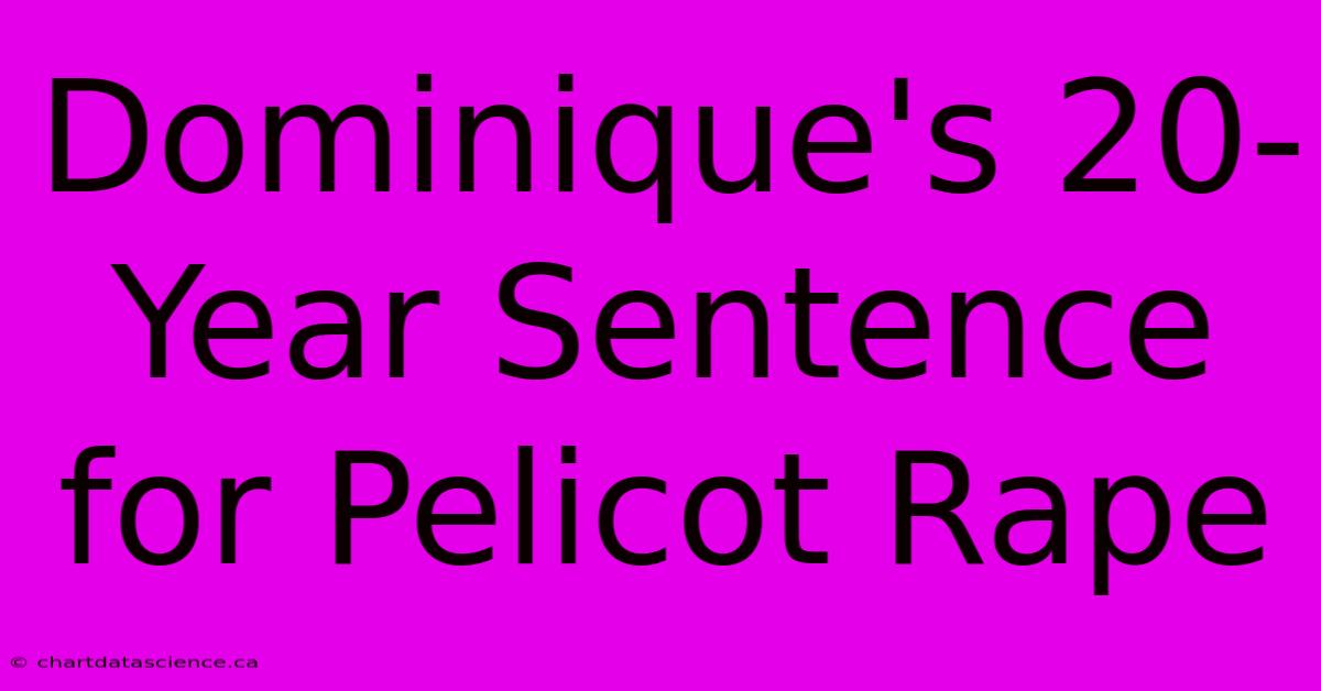 Dominique's 20-Year Sentence For Pelicot Rape