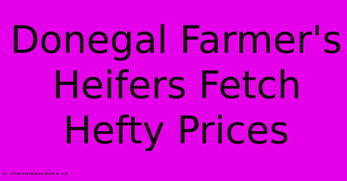 Donegal Farmer's Heifers Fetch Hefty Prices