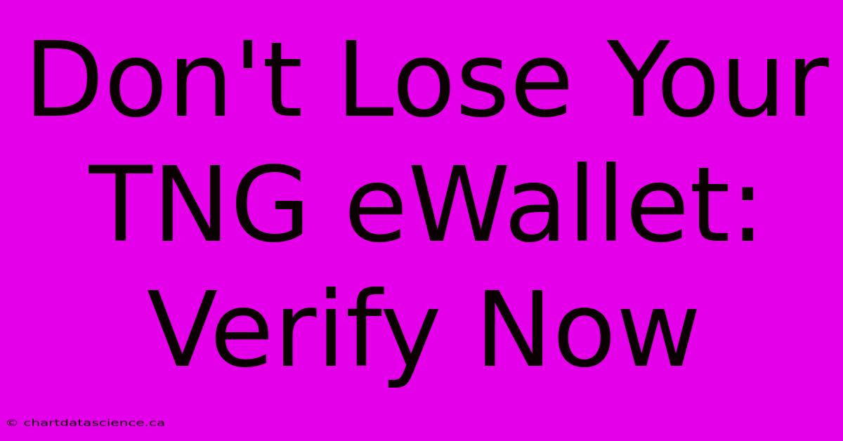 Don't Lose Your TNG EWallet: Verify Now