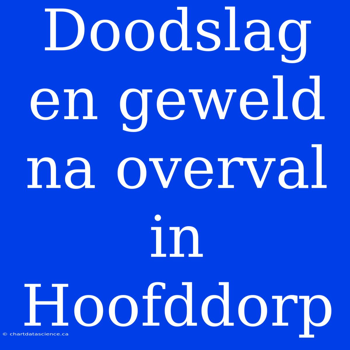 Doodslag En Geweld Na Overval In Hoofddorp