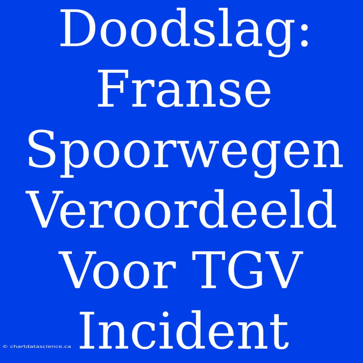 Doodslag: Franse Spoorwegen Veroordeeld Voor TGV Incident