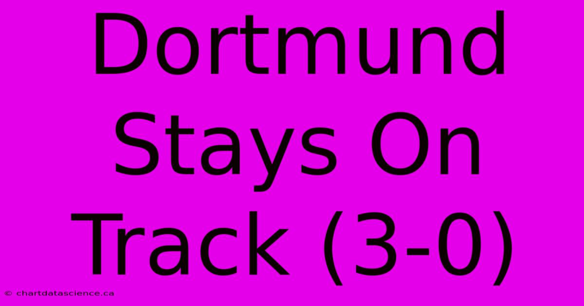 Dortmund Stays On Track (3-0)