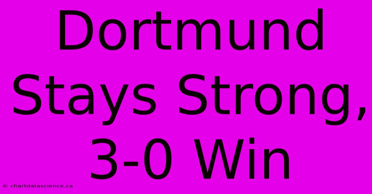 Dortmund Stays Strong, 3-0 Win