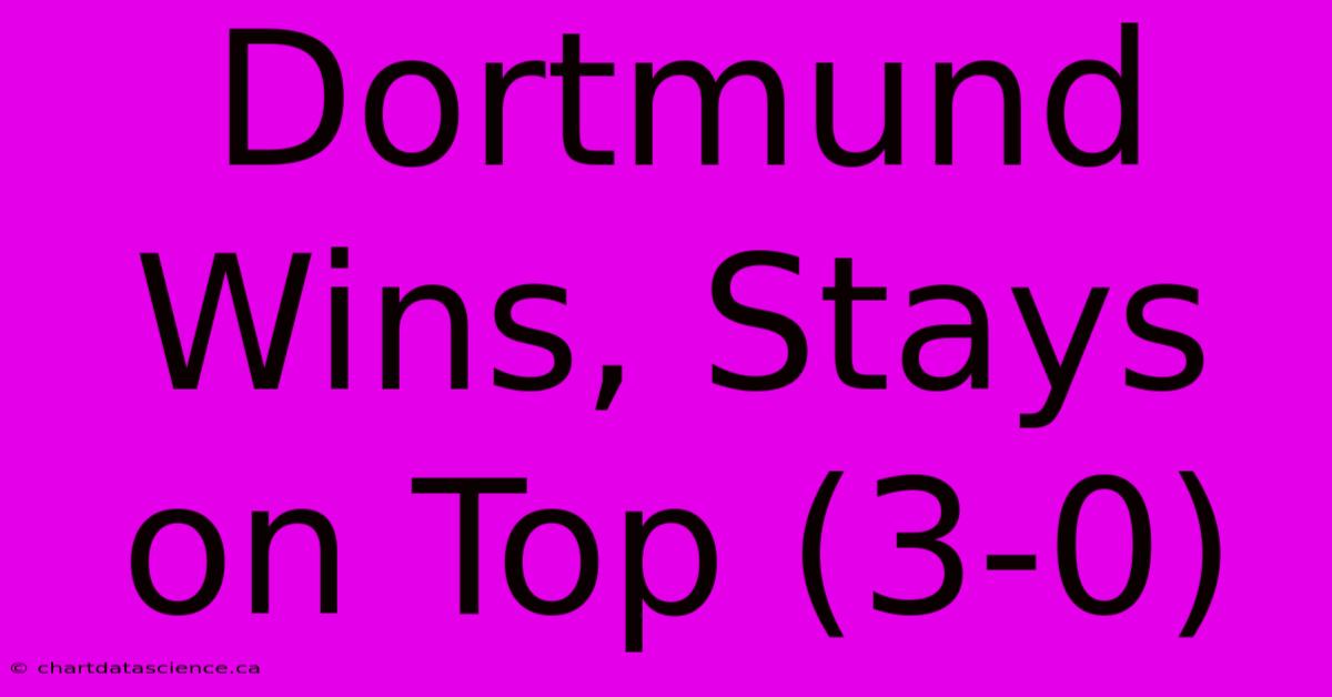 Dortmund Wins, Stays On Top (3-0)