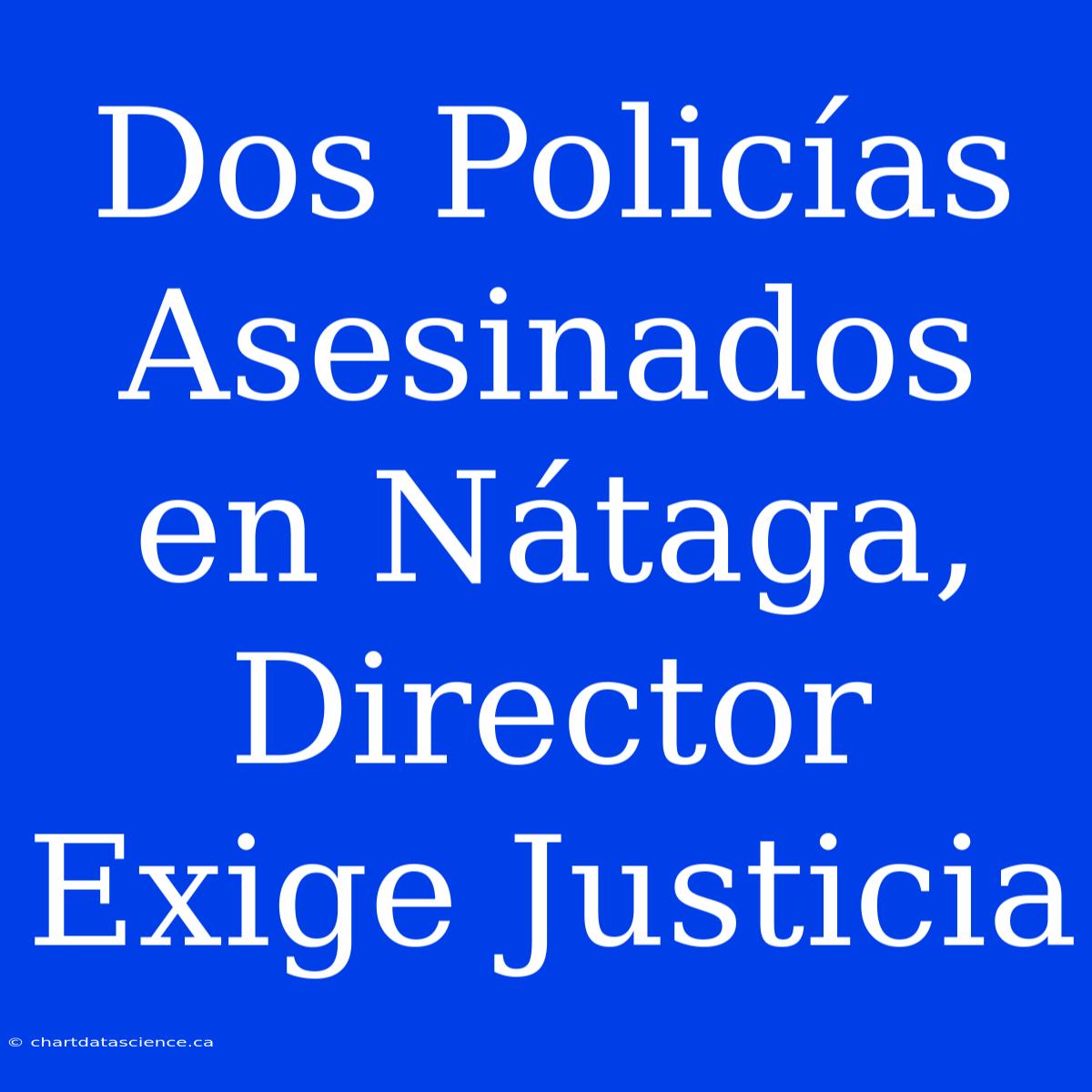 Dos Policías Asesinados En Nátaga, Director Exige Justicia